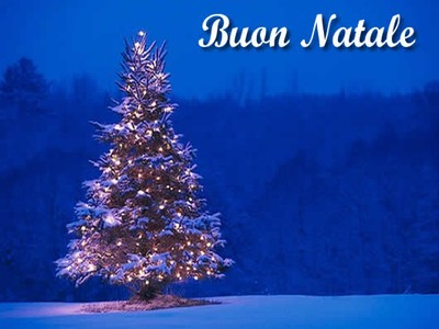 Albero di Natale
