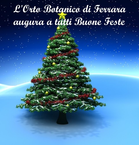 Buone Feste