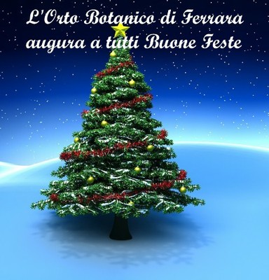 Buone Feste